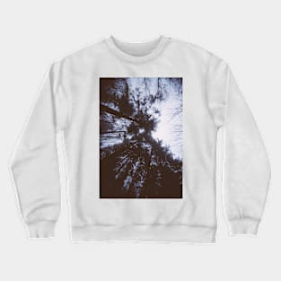 Out Of The Forest Crewneck Sweatshirt